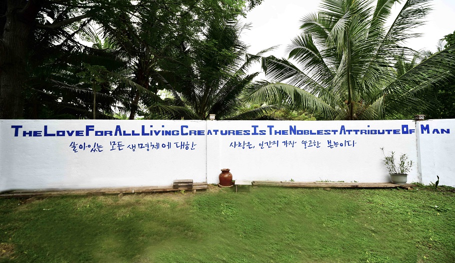 This is Aldive motto