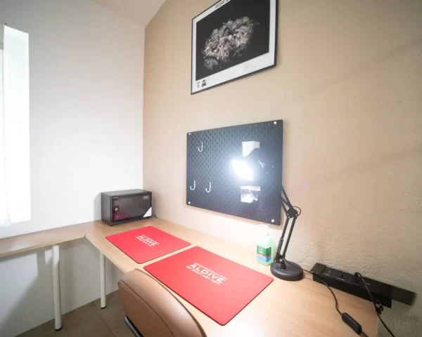 AldiveStandardRooms0005
